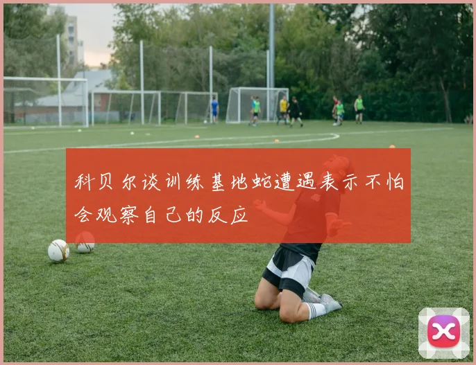 科贝尔谈训练基地蛇遭遇表示不怕会观察自己的反应