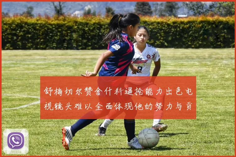 舒梅切尔赞舍什科逼抢能力出色电视镜头难以全面体现他的努力与贡献